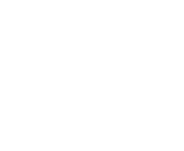 Arena X